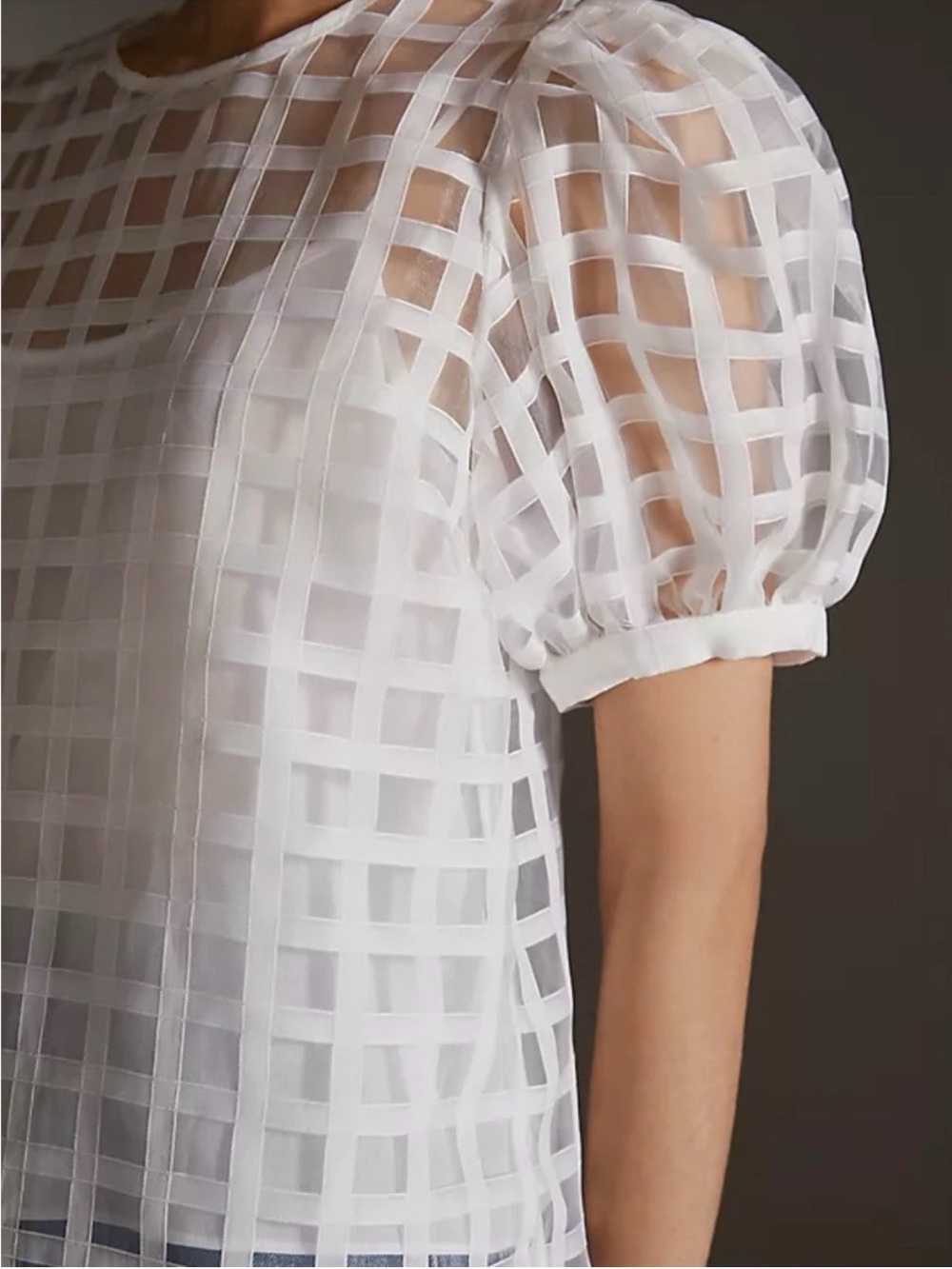English Factory - White Sheer Grid Puff-Sleeve Top